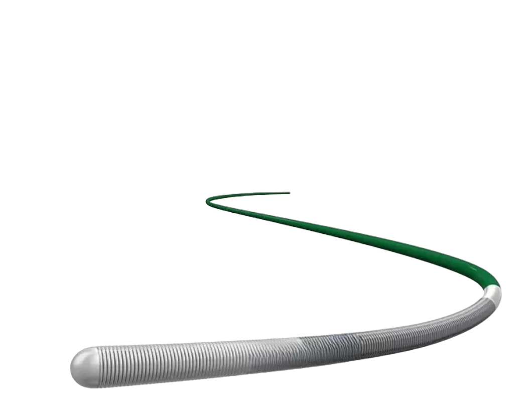 XANDRA Guidewire PTCA — gambar 2