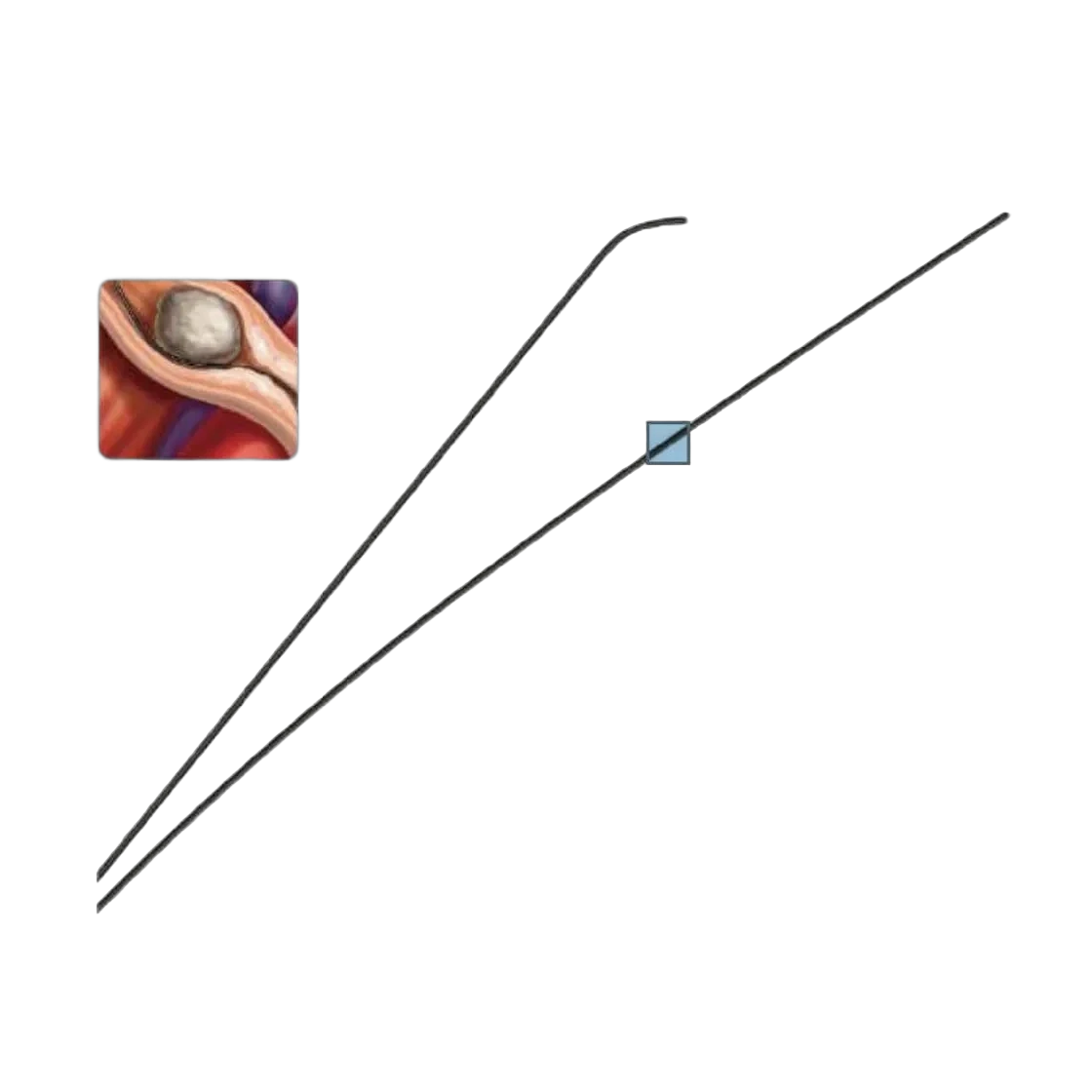 ZOTA Hydrophilic Guide Wire